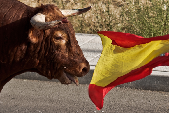 BREAKING: The Cruel Truth Behind Spain's Bullfighting
