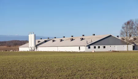 the exterior of a large white factory farm