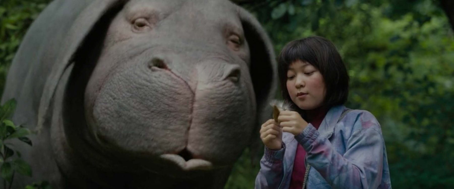 okja stuffed animal