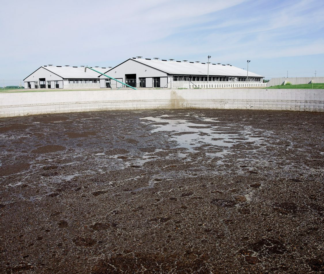 The Truth About The Dairy Industry