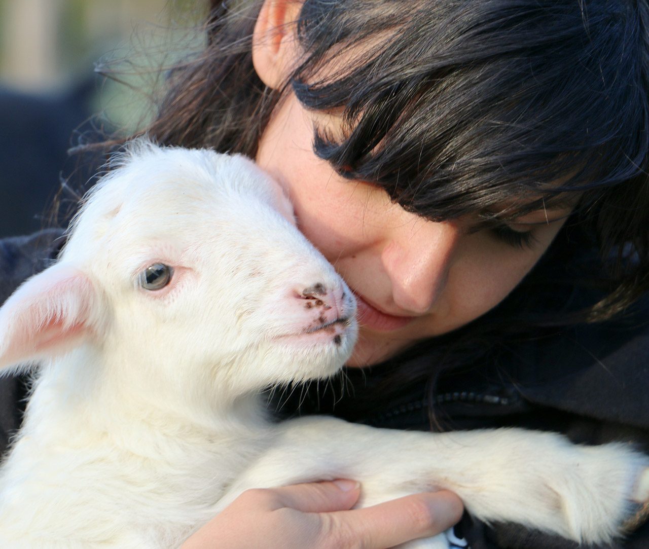 Girl with rescued lamb