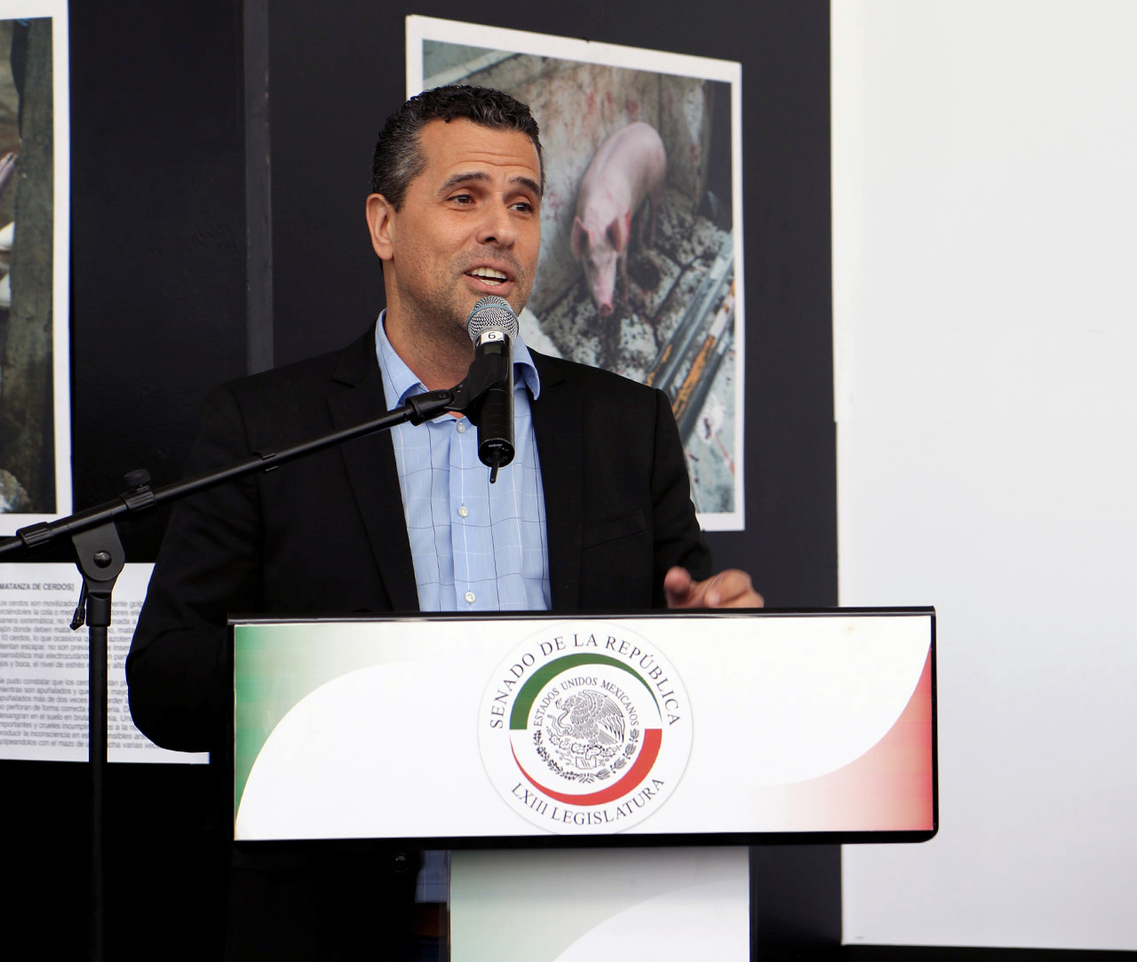 Marco Antonio Regil in the Mexican Senate