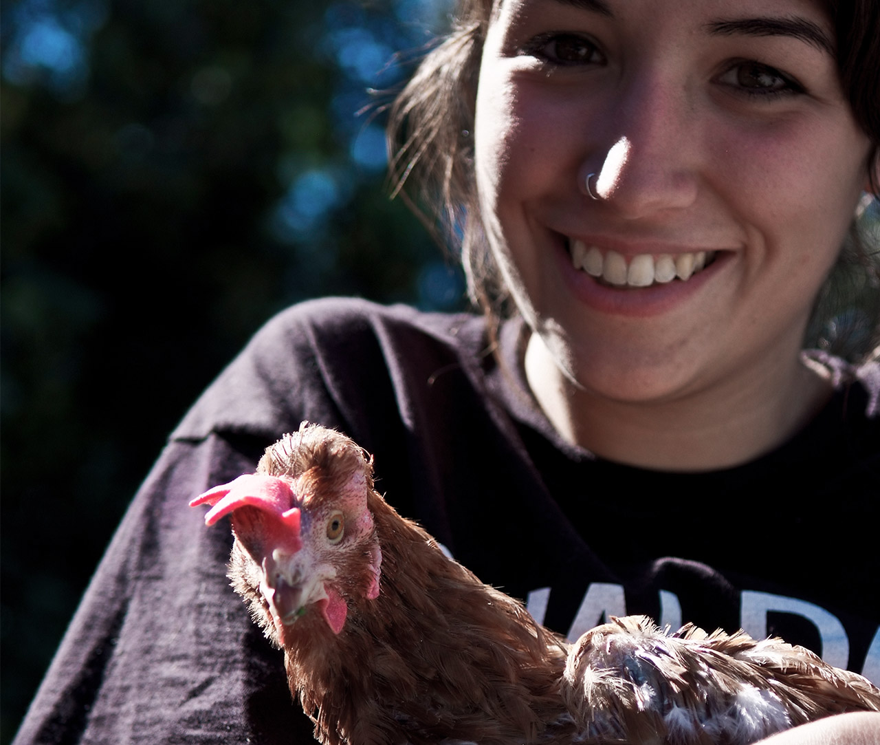 Smile,Bird,Photograph,Chicken,Beak,Comb