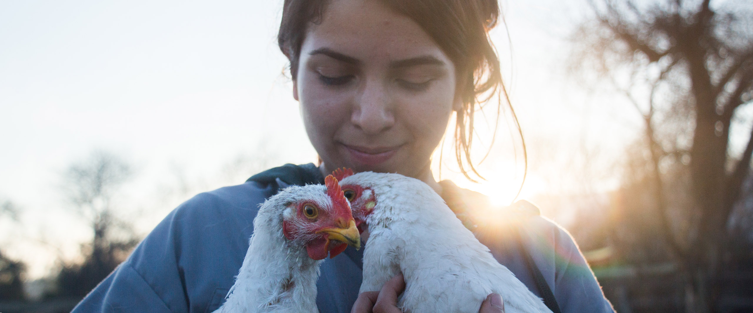 Girl with rescued hens