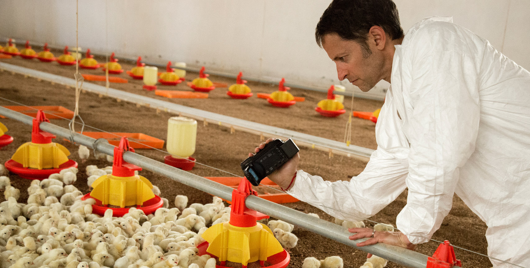 Ari filming chickens, Mexico