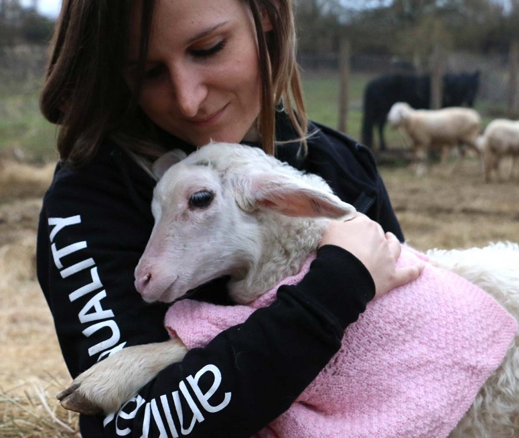 Animal Equality activist with a lamb rescued from a factory farm
