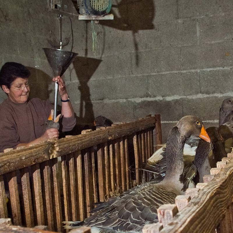 French Foie Gras Farms