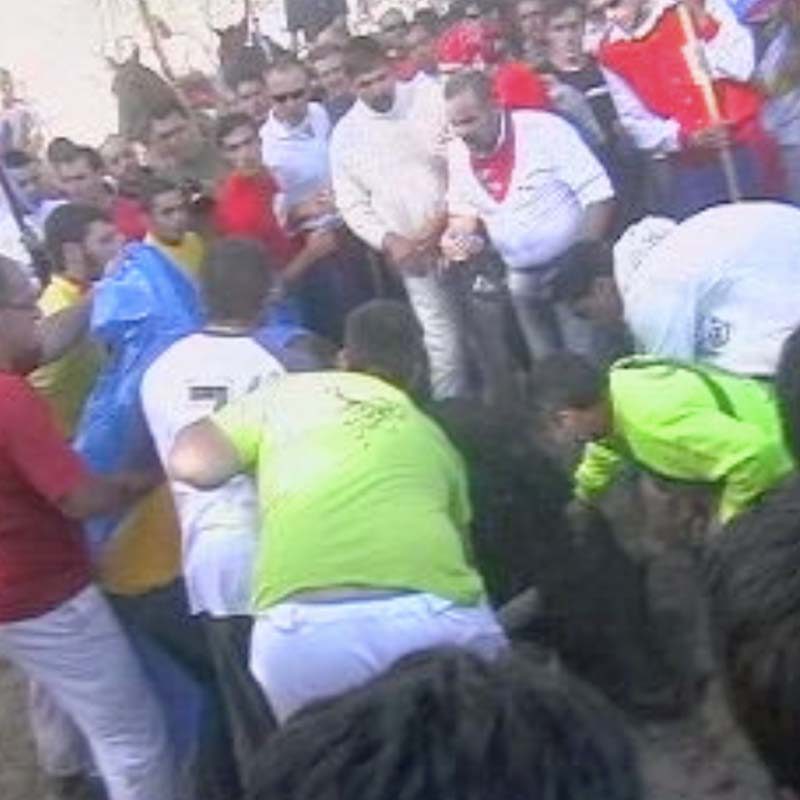 Valenton – Toro de La Vega