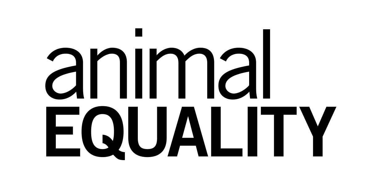animal equality logo 8 years investigating dog and cat meat trade