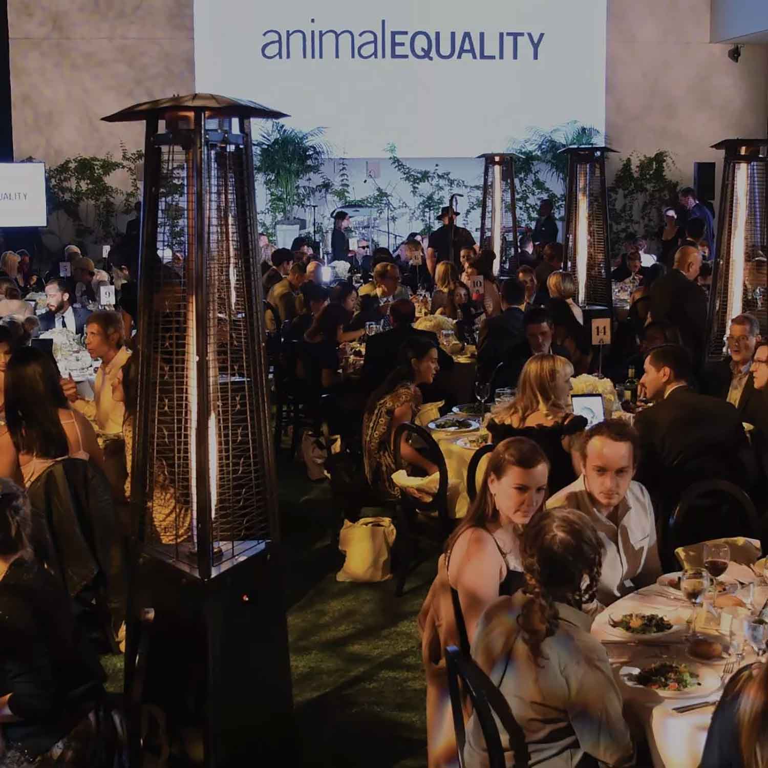 gala, animal equality