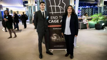 Pantalones,Planta,Producto,Maceta,Abrigo,Diseño automotriz,Planta de interior