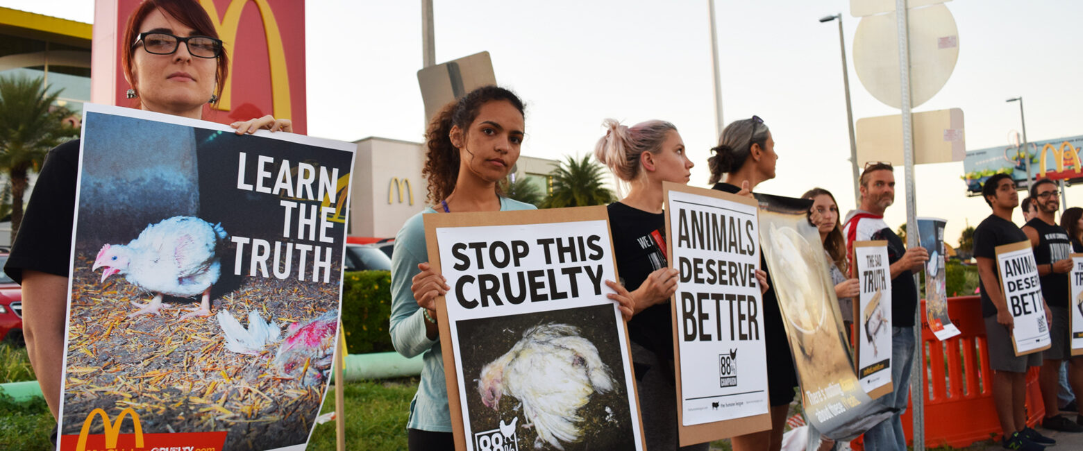 Join Our Action Team The Animal Protectors!