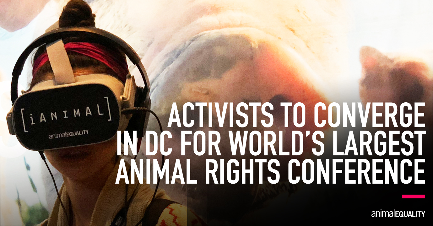 Animal Rights Conference Activists Converge in DC Animal Equality