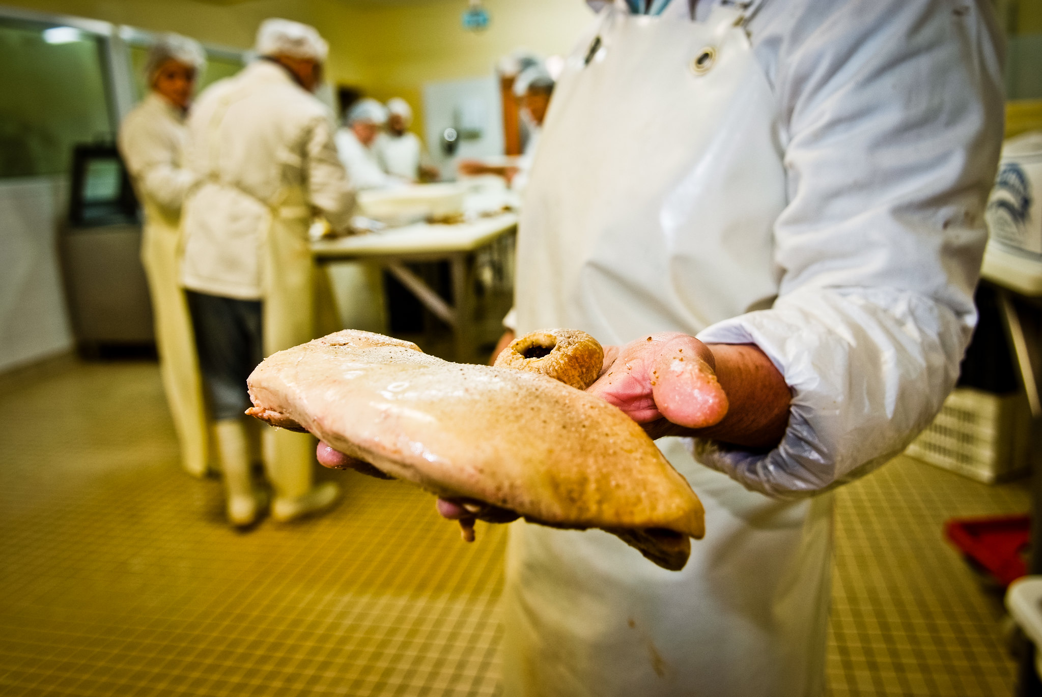 What is Foie Gras? | Animal Equality