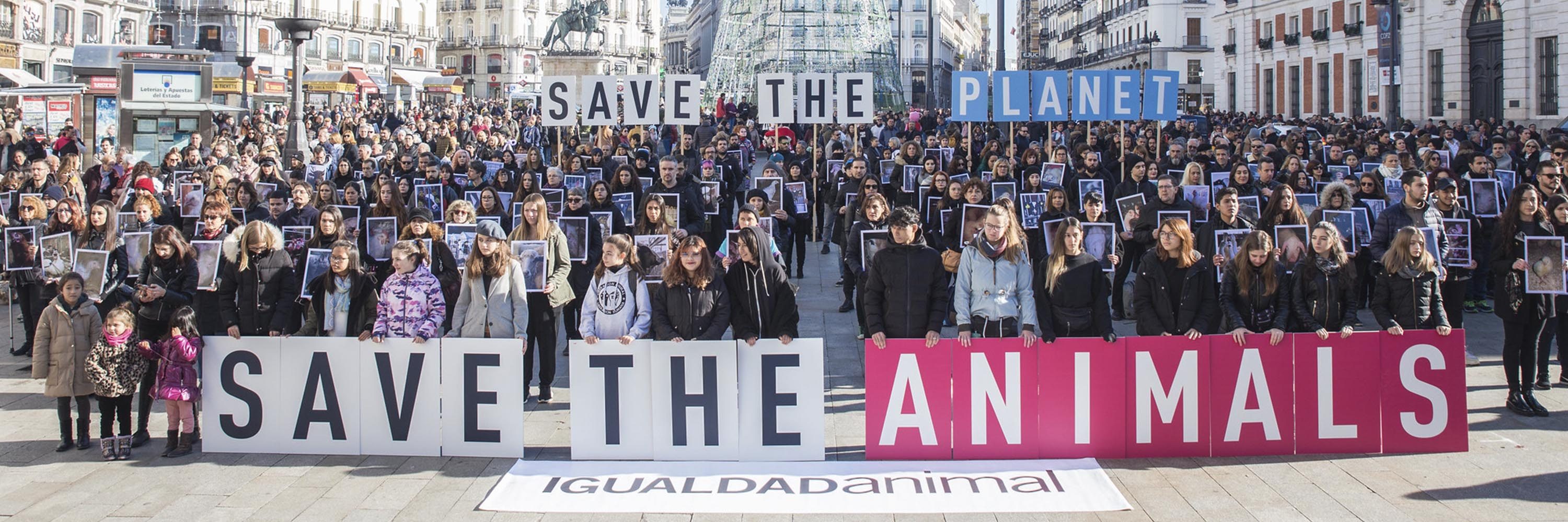 Powerful Photos Honor Animals Exploited and Killed