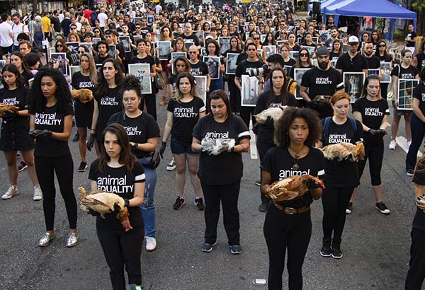 Powerful Photos Honor Animals Exploited and Killed