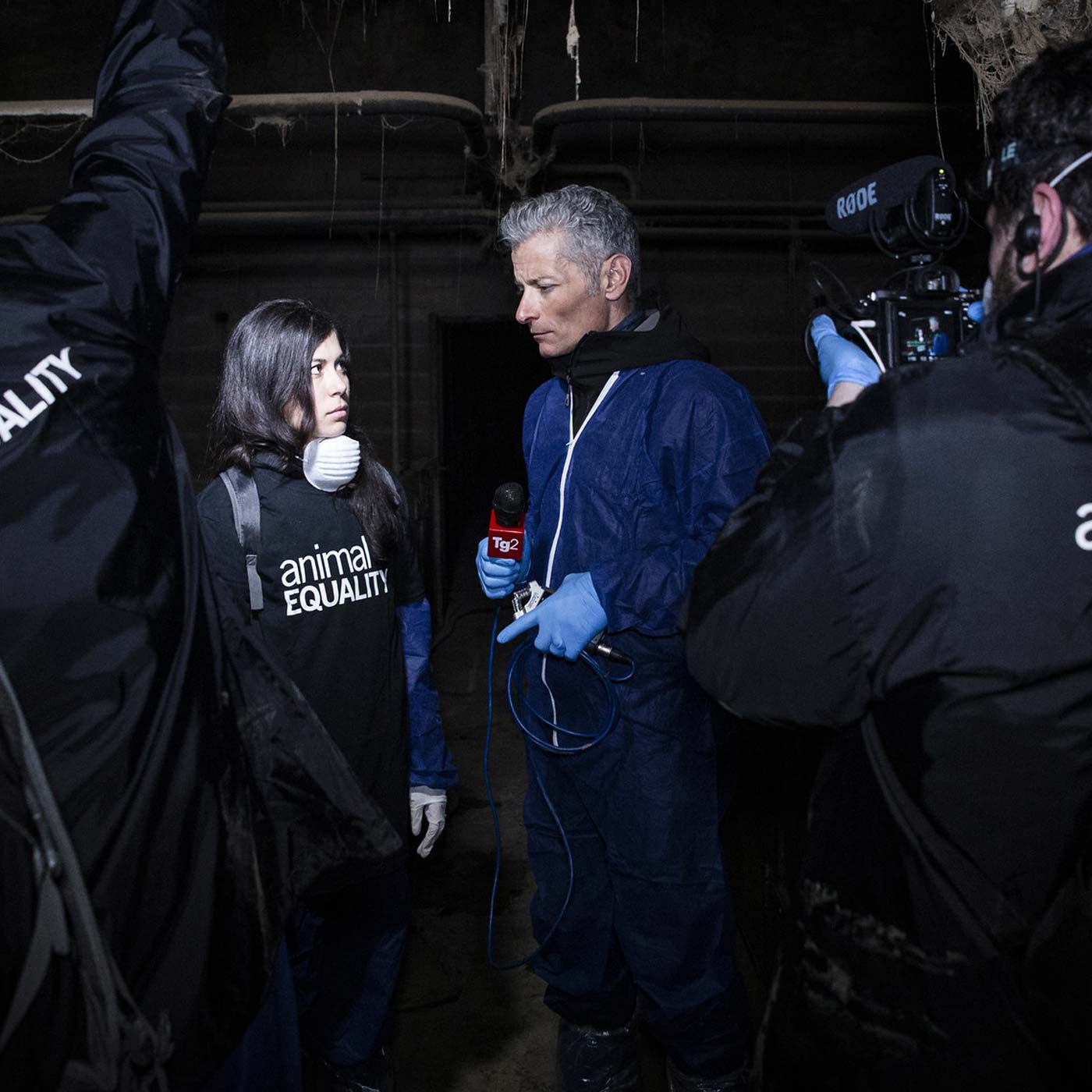 Animal Equality, With Italy’s National Media Outlet, Exposed Italian Slaughterhouse Cruelty