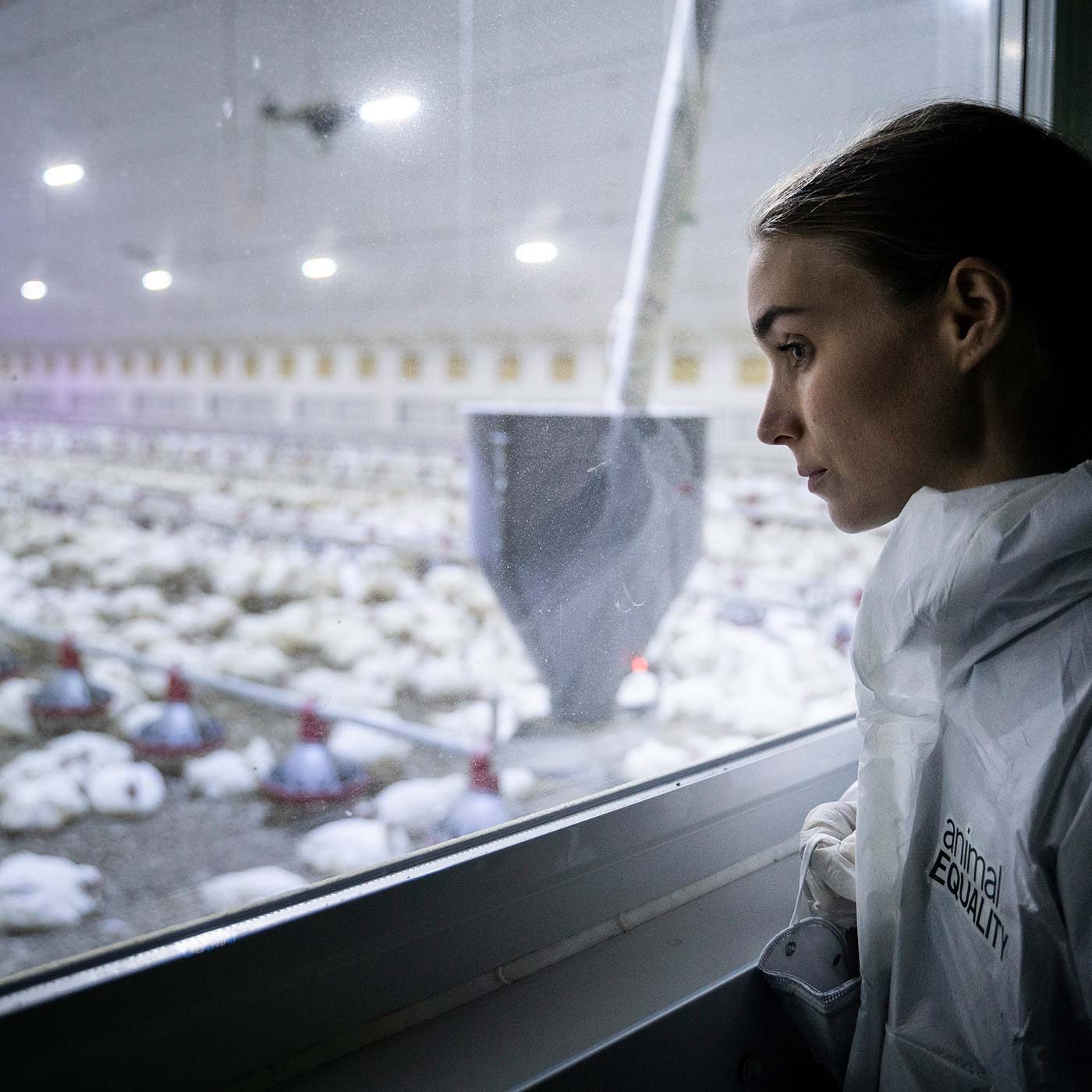 With My Own Eyes: Rooney Mara Joins Factory Farm Investigation