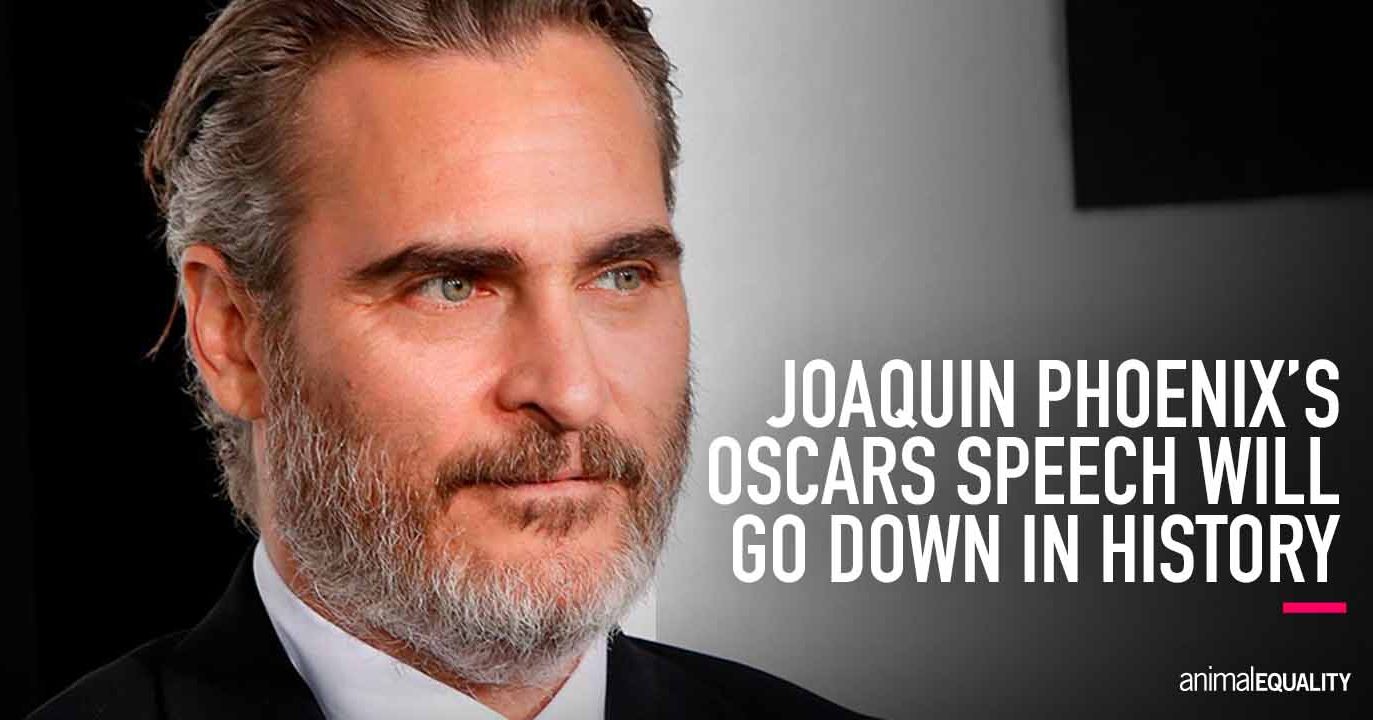 Joaquin Phoenix Wins Oscar, Dedicates Speech to Justice for All