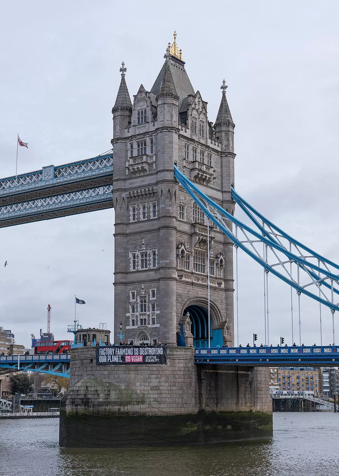 Water,Sky,Lake,Bridge,Waterway,City,Metropolis