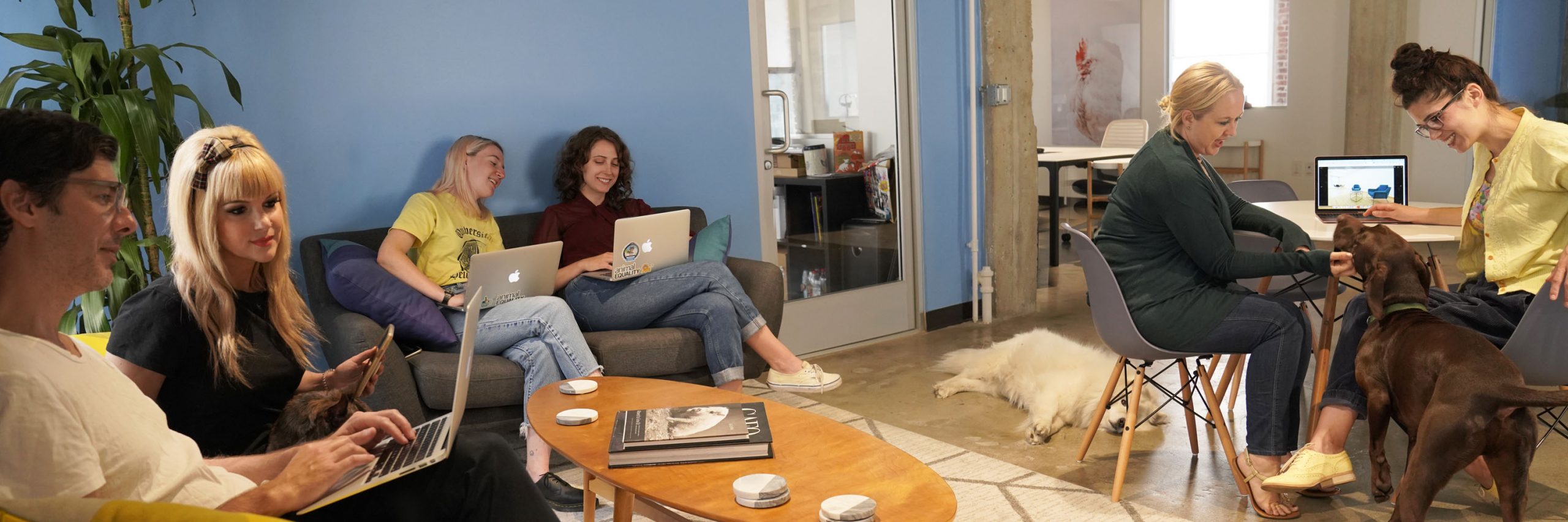 Animal Equality team working at the office