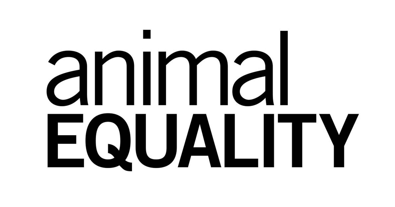 Contact Animal Equality International Animal Protection Organization
