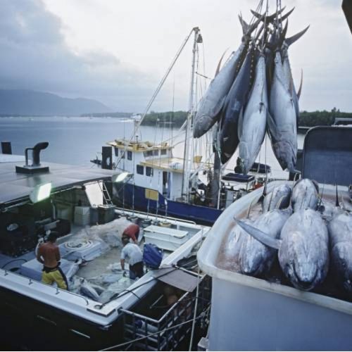 Shocking Facts About Fishing That You Need to Know