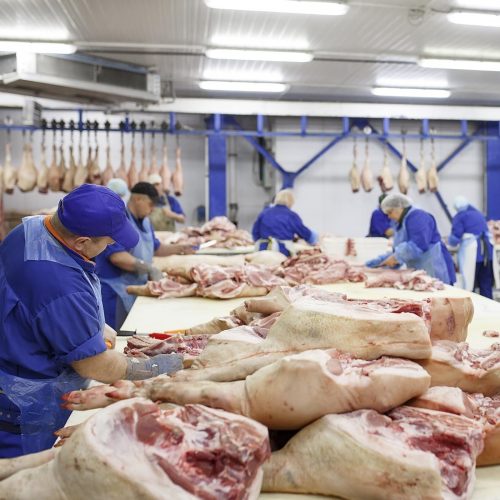 5 Common Practices in Slaughterhouses That You Need to Know