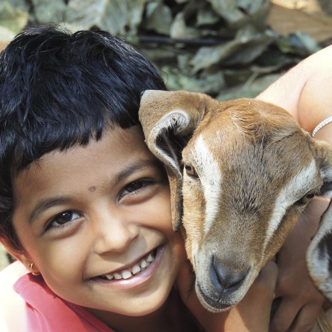 Head,Smile,Jaw,Goat