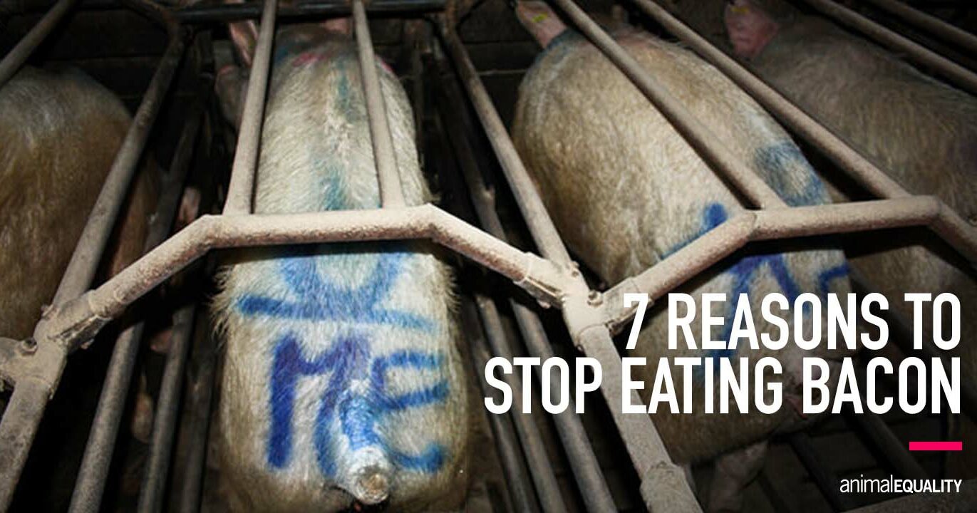 7 Reasons to Stop Eating Bacon For Good