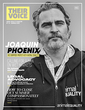 Their Voice Magazine | Animal Equality UK