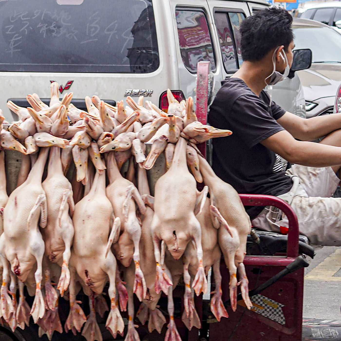 Wet Markets Still Operating in China