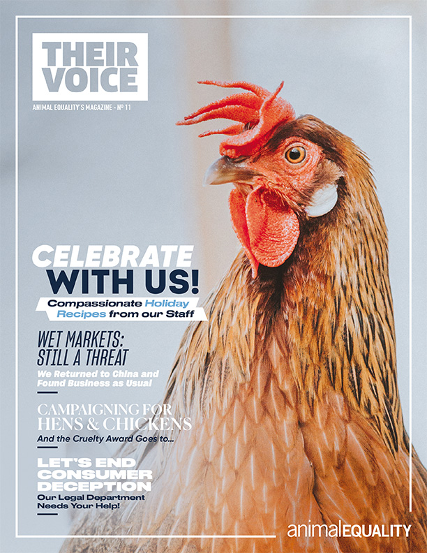 Cover of Their Voice - Animal Equality's magazine, Issue 11