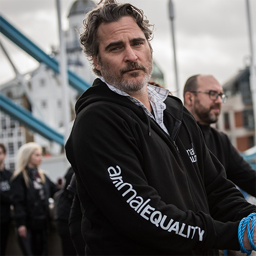 Joaquin Phoenix with Animal Equality