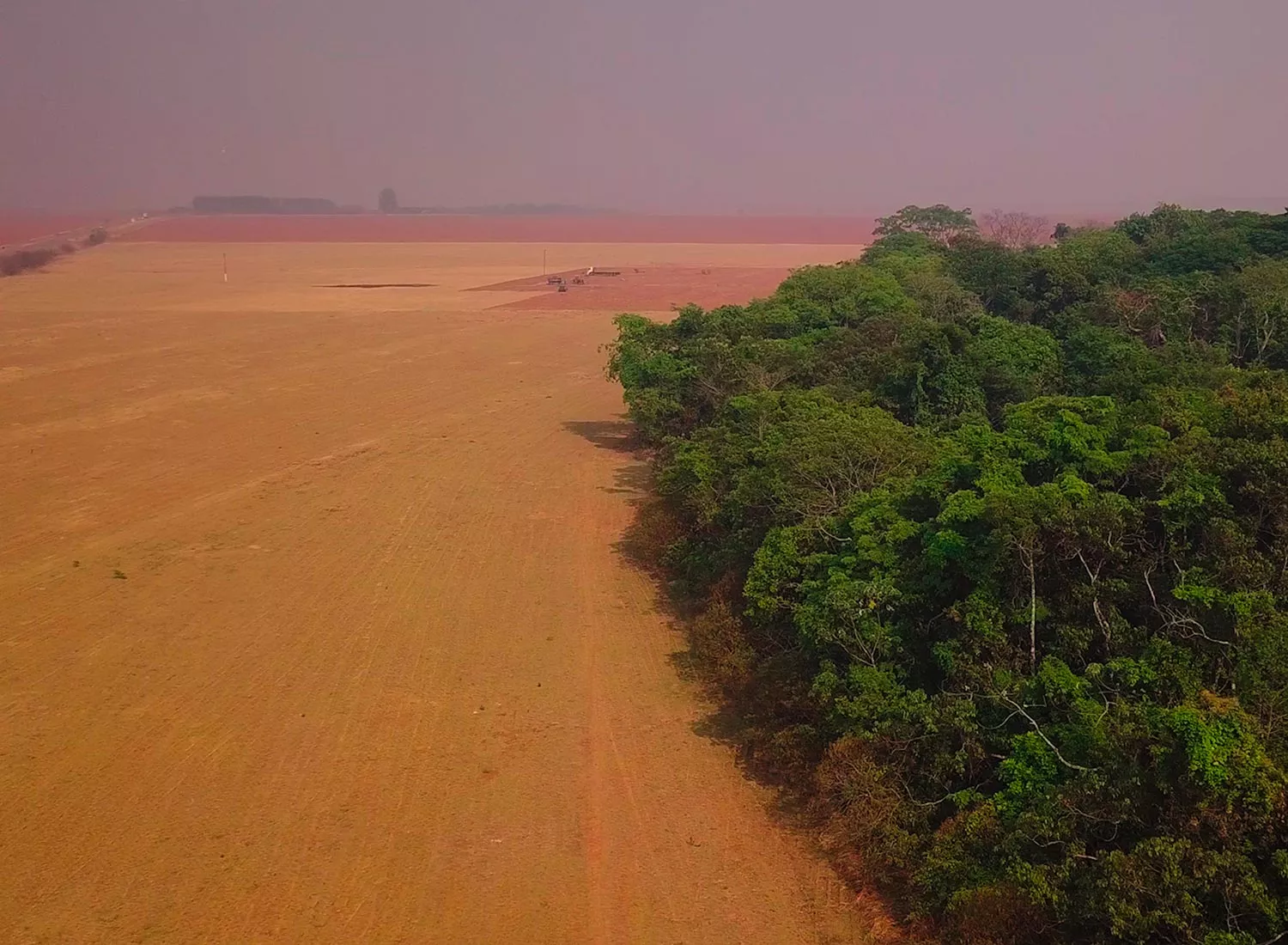 Why is Brazil burning? 3