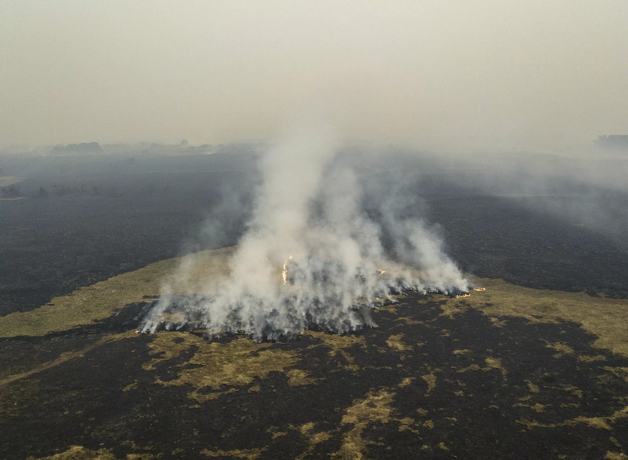 Why is Brazil burning? 4