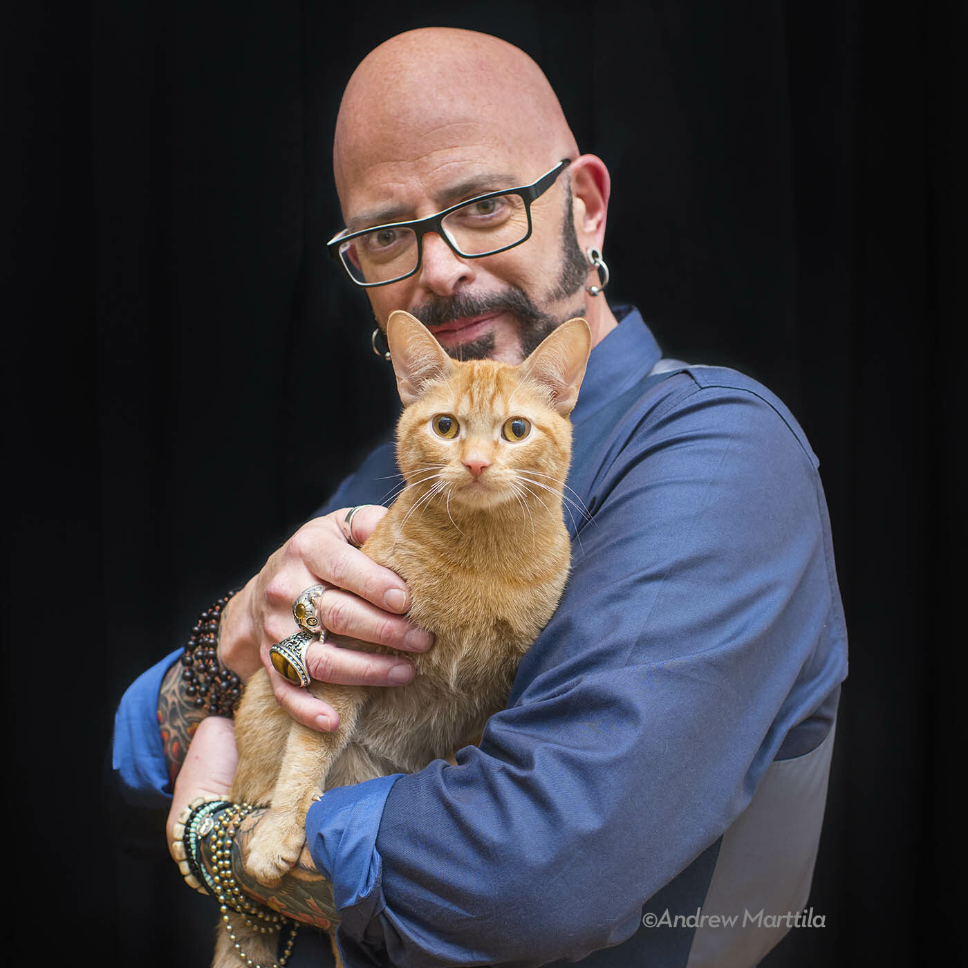 jackson galaxy vegan cat food