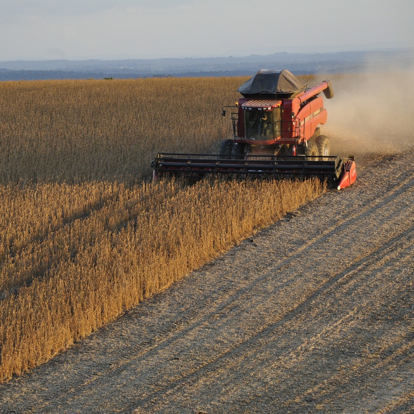 Plant,Sky,Agriculture,Agricultural machinery,Grass,Harvester,Plain