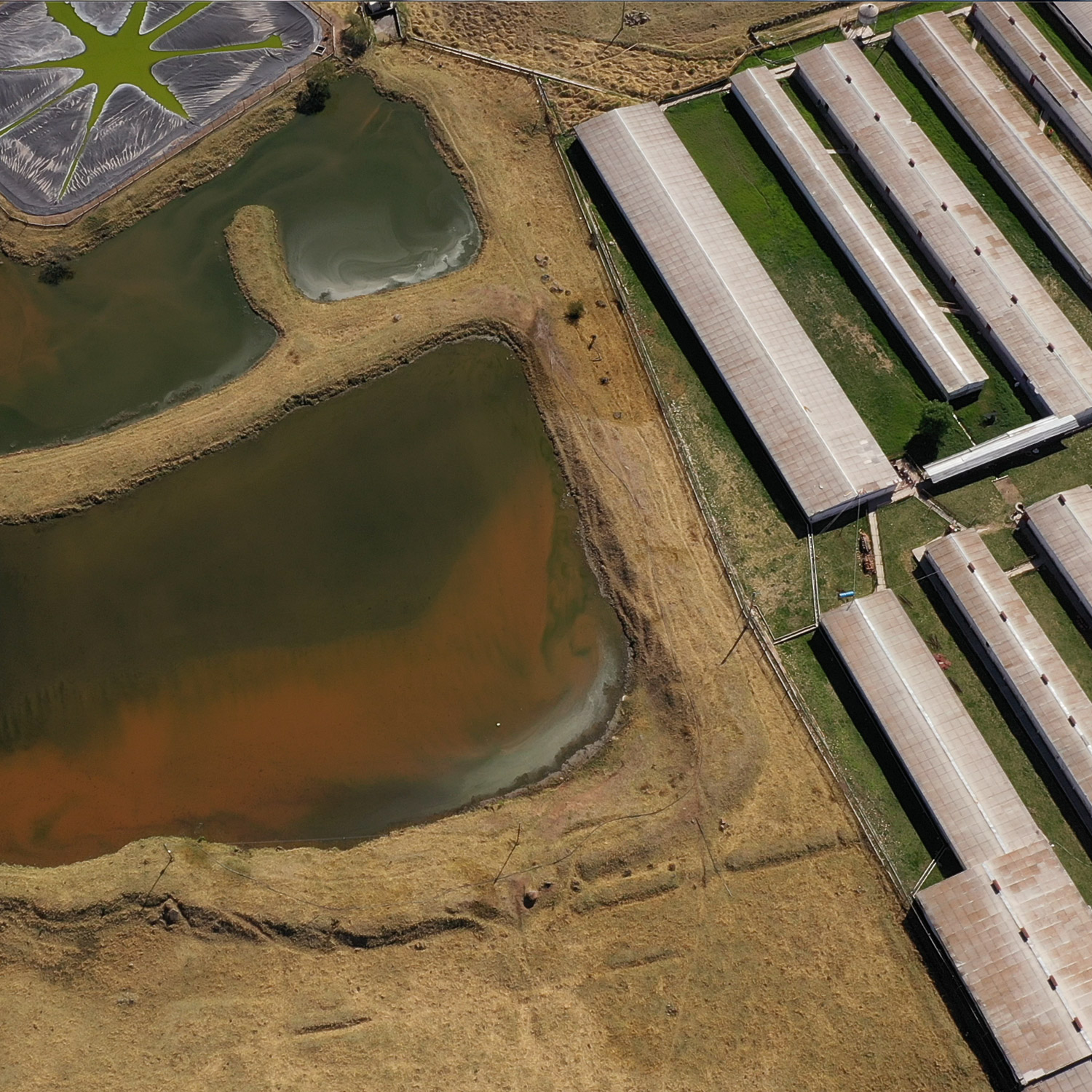 sewage lagoon on industrial farm