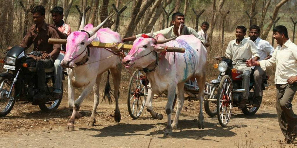 bullock cart 1200x600 1 1024x0 c default Animal Equality Makes Significant Progress in India