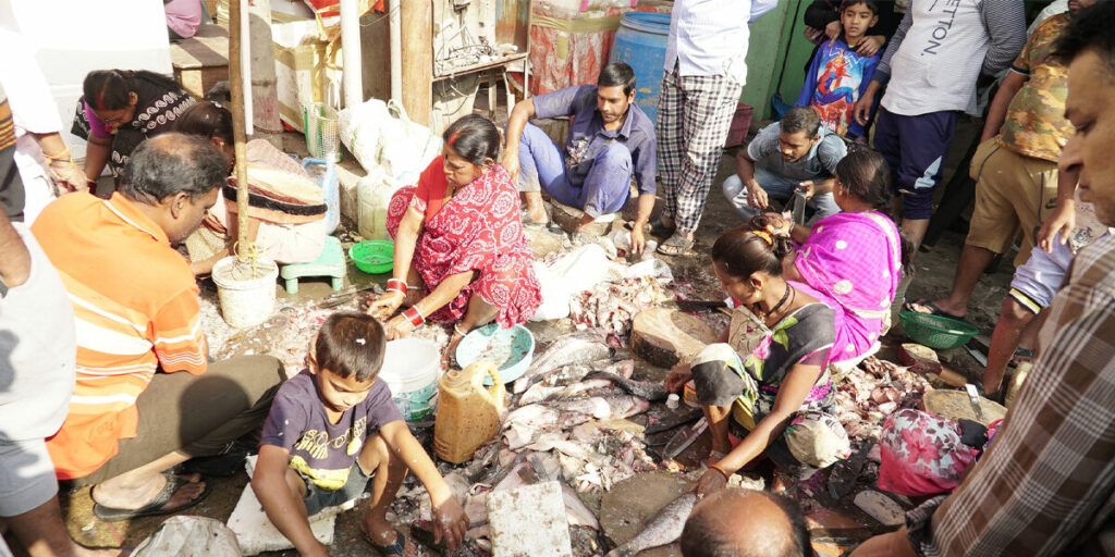 indian wet market 1200x200 1 1024x0 c default Animal Equality Makes Significant Progress in India
