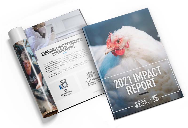 Animal Equality 2021 Impact Report