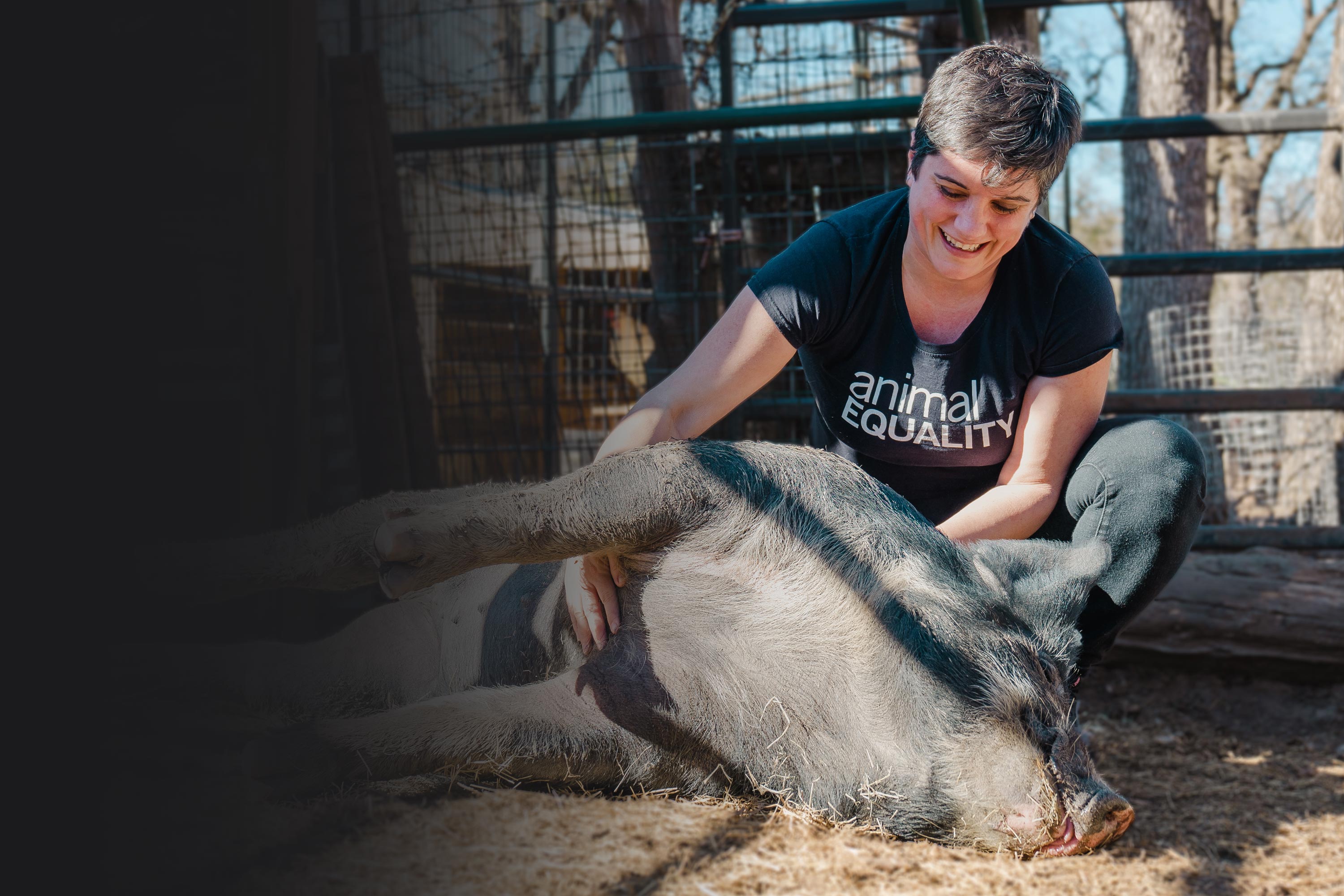 Sara Mesa: Quien maltrata un animal está a un paso de maltratar una  persona