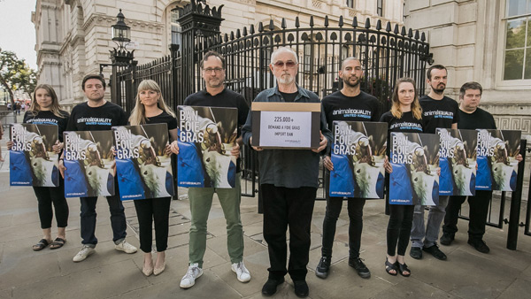 Peter Egan and Animal Equality supporters deliver foie gras petition signatures to the UK government