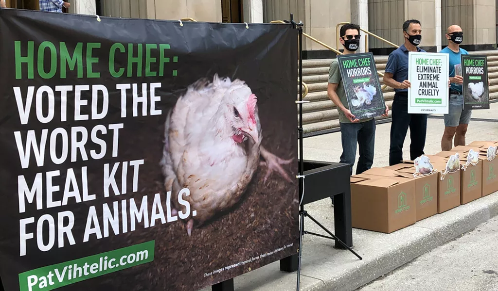 Animal Equality volunteers protest outside Home Chef headquarters