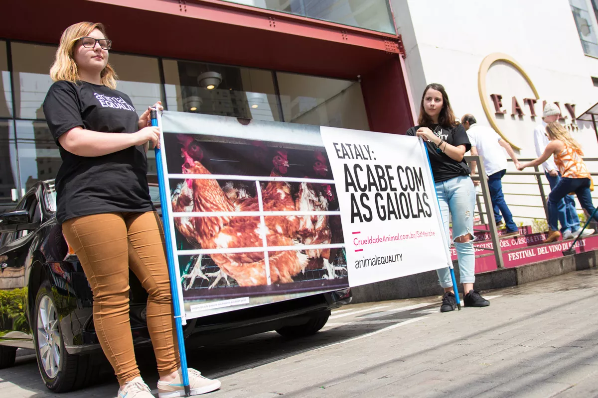 January-March 2022 Impact 11