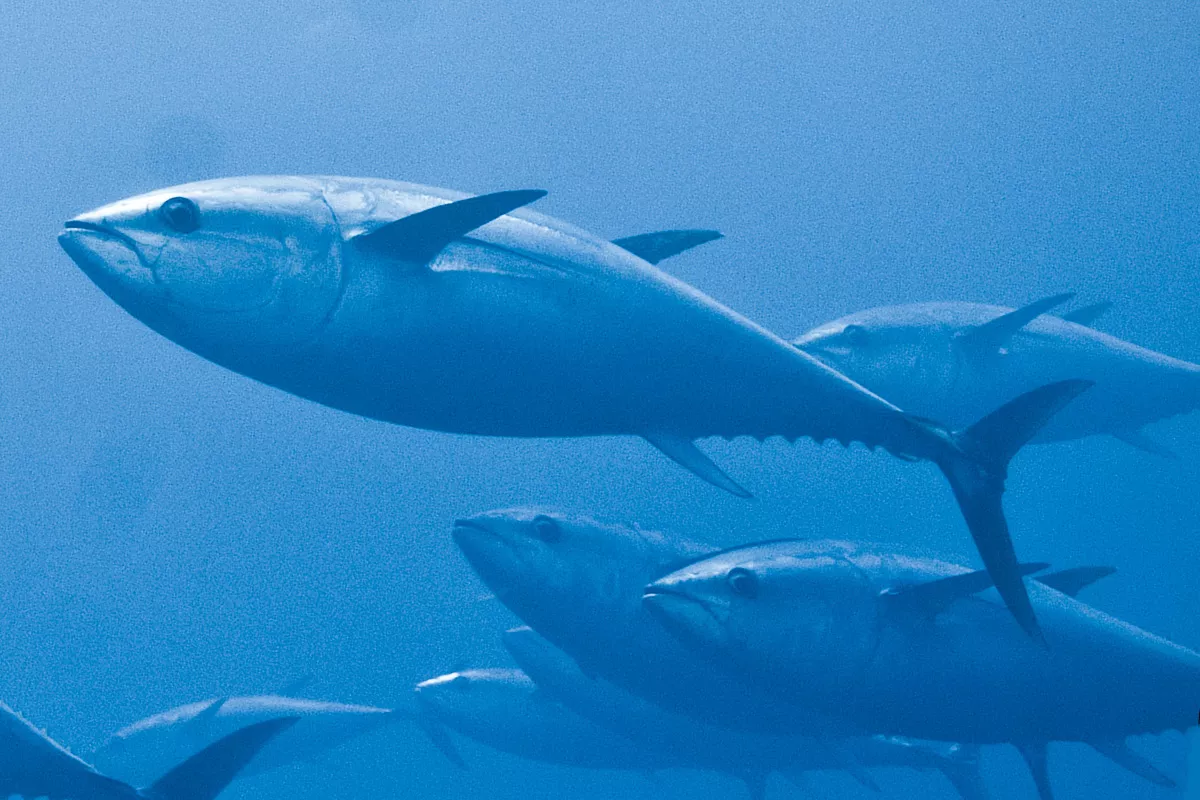 January-March 2022 Impact 19