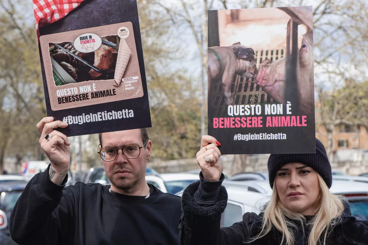 January-March 2022 Impact 6