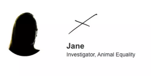 Jane, investigator of Animal Equality