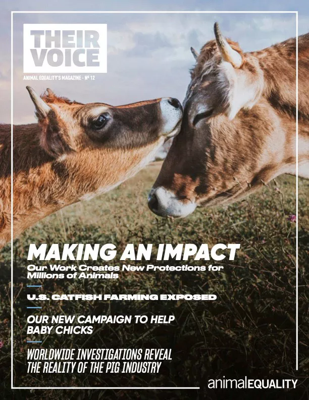 Cover of Their Voice, Animal Equality's Magazine number 12